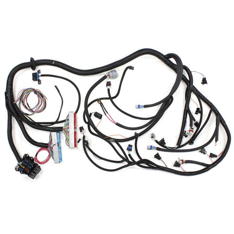 GM LS1 with 4L60 Automatic Transmission Wiring Harness