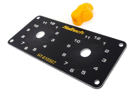 Haltech Dual Trim Module Panel Kit