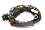 Haltech Elite 2500/2500 T Basic & Premium Universal Wire-in Harness