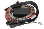 Haltech Elite 2500/2500 T Basic & Premium Universal Wire-in Harness