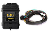 Haltech Elite 2500 T ECU - All Variants