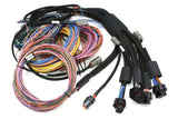 Haltech NEXUS R5 + Universal Wire-in Harness Kit 2.5m 8'