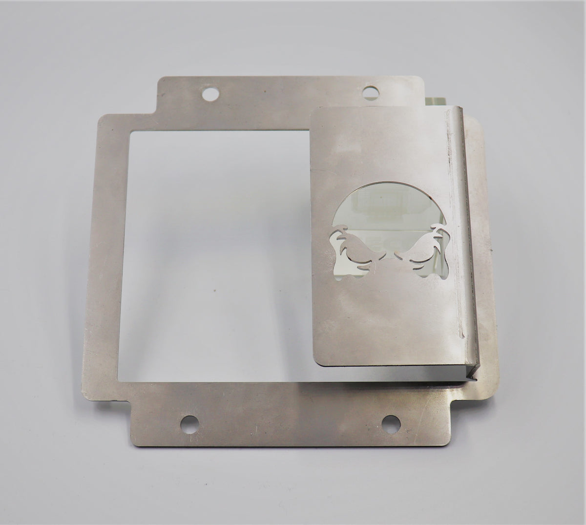 LS2/3 (E38) GM PCM/ECU Shield – VZ - VF (E38 Equipped Models Only ...